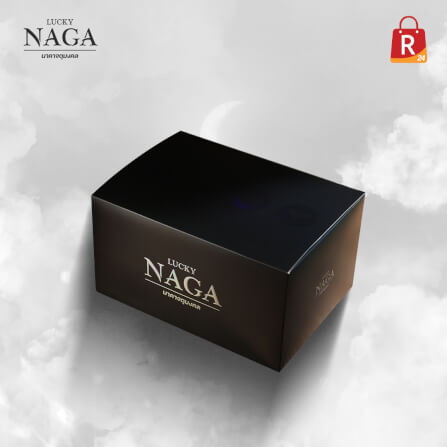 อาร์ตทอย ชุดนาคาจตุมงคล LUCKY NAGA BOX SET 4 ตัว_5